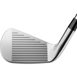 Titleist T250 Herre Jerns�t - St�l
